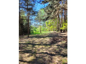 Działka łódzkie
poddębicki
Uniejów
Kuczki Na sprzedaż 170 000 PLN 2620 m2 