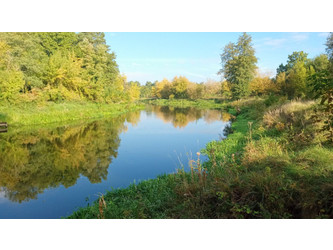 Działka mazowieckie
płoński
Joniec
Popielżyn-Zawady Na sprzedaż 108 000 PLN 1093 m2 