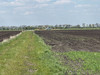 Działka wielkopolskie
kościański
Kościan
Widziszewo Na sprzedaż 7 110 000 PLN 237 000 m2 