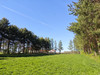 Działka mazowieckie
pułtuski
Obryte
Zambski Stare Na sprzedaż 329 000 PLN 9428 m2 